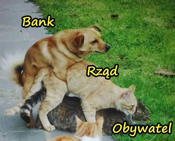 Bank, rząd i obywatel