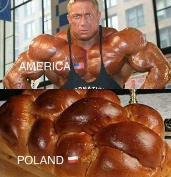 Kulturystyka - Ameryka vs. Polska