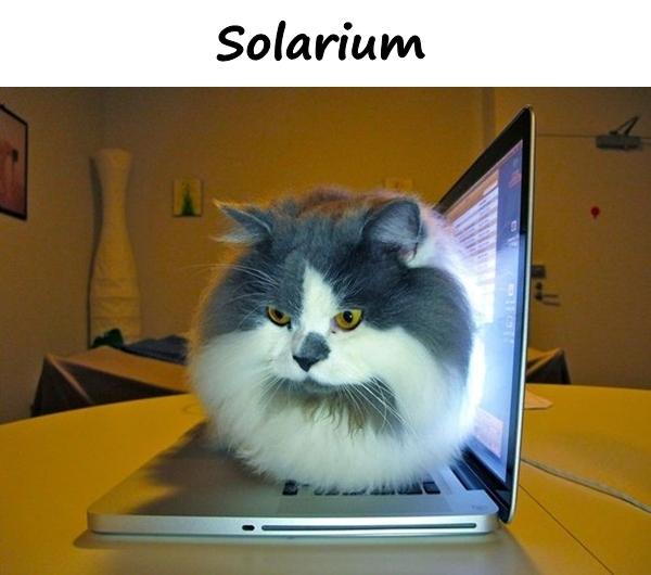 Solarium