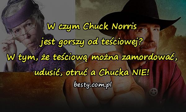 W czym Chuck Norris jest gorszy od teściowej? W tym, że teściową można zamordować, udusić, otruć a Chucka NIE!